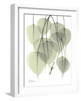 Bo Tree Nature-Albert Koetsier-Framed Art Print