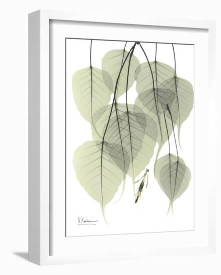 Bo Tree Nature-Albert Koetsier-Framed Art Print