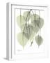 Bo Tree Nature-Albert Koetsier-Framed Art Print