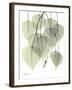 Bo Tree Nature-Albert Koetsier-Framed Art Print