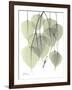 Bo Tree Nature-Albert Koetsier-Framed Art Print