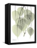 Bo Tree Nature-Albert Koetsier-Framed Stretched Canvas