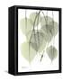 Bo Tree Nature-Albert Koetsier-Framed Stretched Canvas