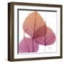 Bo Tree Pink Orange-Albert Koetsier-Framed Art Print