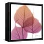 Bo Tree Pink Orange-Albert Koetsier-Framed Stretched Canvas