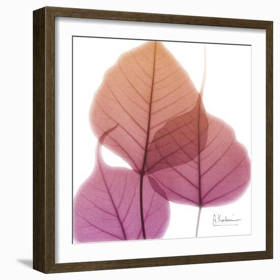 Bo Tree Pink Orange-Albert Koetsier-Framed Art Print