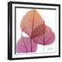 Bo Tree Pink Orange-Albert Koetsier-Framed Art Print