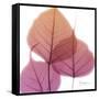 Bo Tree Pink Orange-Albert Koetsier-Framed Stretched Canvas