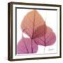 Bo Tree Pink Orange-Albert Koetsier-Framed Premium Giclee Print