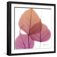 Bo Tree Pink Orange-Albert Koetsier-Framed Premium Giclee Print