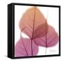 Bo Tree Pink Orange-Albert Koetsier-Framed Stretched Canvas