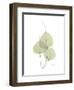 Bo Tree Portrait-Albert Koetsier-Framed Premium Giclee Print