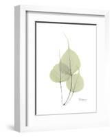 Bo Tree Portrait-Albert Koetsier-Framed Premium Giclee Print