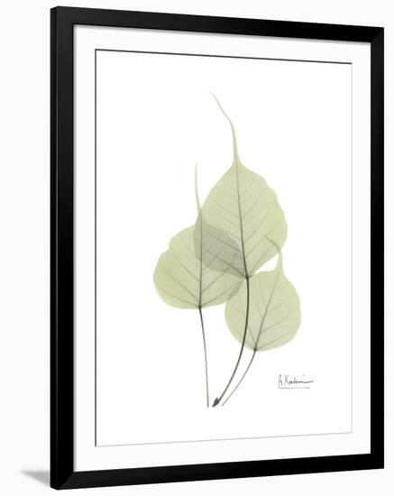 Bo Tree Portrait-Albert Koetsier-Framed Premium Giclee Print