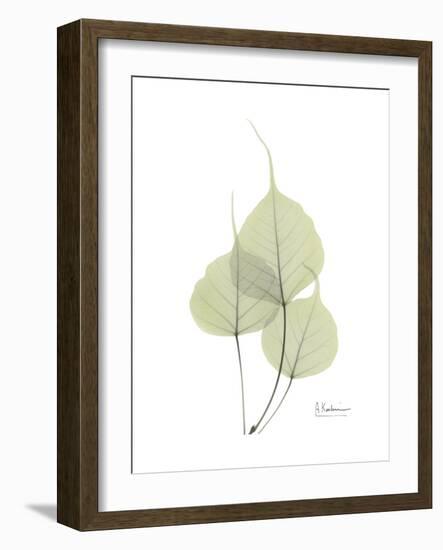 Bo Tree Portrait-Albert Koetsier-Framed Premium Giclee Print