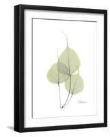 Bo Tree Portrait-Albert Koetsier-Framed Premium Giclee Print