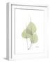 Bo Tree Portrait-Albert Koetsier-Framed Premium Giclee Print