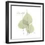 Bo Tree Tranquility-Albert Koetsier-Framed Premium Giclee Print