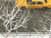 Yellow cab on Park Avenue in a snowstorm-Bo Zaunders-Photographic Print
