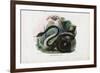 Boa Constrictor, 1863-79-Raimundo Petraroja-Framed Giclee Print