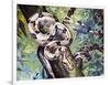 Boa Constrictor (Boa Constrictor), Boidae-null-Framed Premium Giclee Print