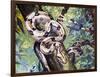 Boa Constrictor (Boa Constrictor), Boidae-null-Framed Premium Giclee Print