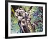 Boa Constrictor (Boa Constrictor), Boidae-null-Framed Giclee Print