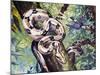 Boa Constrictor (Boa Constrictor), Boidae-null-Mounted Giclee Print