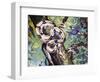 Boa Constrictor (Boa Constrictor), Boidae-null-Framed Premium Giclee Print