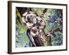 Boa Constrictor (Boa Constrictor), Boidae-null-Framed Giclee Print