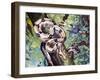 Boa Constrictor (Boa Constrictor), Boidae-null-Framed Giclee Print