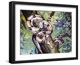 Boa Constrictor (Boa Constrictor), Boidae-null-Framed Giclee Print