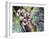 Boa Constrictor (Boa Constrictor), Boidae-null-Framed Giclee Print