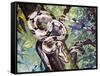 Boa Constrictor (Boa Constrictor), Boidae-null-Framed Stretched Canvas