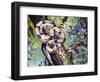 Boa Constrictor (Boa Constrictor), Boidae-null-Framed Giclee Print