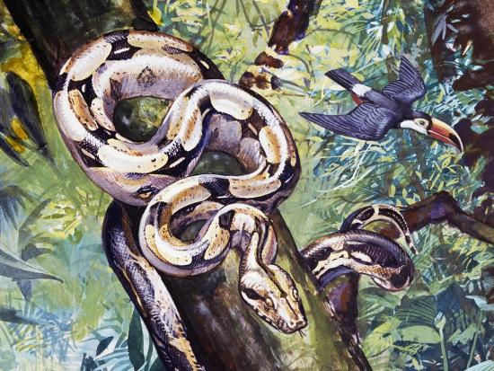 Giclee Print, , large