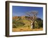 Boab Tree and Cockburn Ranges, Kimberley, Western Australia, Australia, Pacific-Schlenker Jochen-Framed Photographic Print