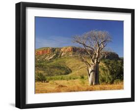 Boab Tree and Cockburn Ranges, Kimberley, Western Australia, Australia, Pacific-Schlenker Jochen-Framed Photographic Print