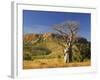 Boab Tree and Cockburn Ranges, Kimberley, Western Australia, Australia, Pacific-Schlenker Jochen-Framed Photographic Print