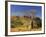 Boab Tree and Cockburn Ranges, Kimberley, Western Australia, Australia, Pacific-Schlenker Jochen-Framed Photographic Print