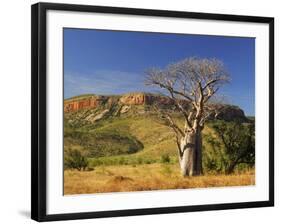 Boab Tree and Cockburn Ranges, Kimberley, Western Australia, Australia, Pacific-Schlenker Jochen-Framed Photographic Print