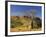 Boab Tree and Cockburn Ranges, Kimberley, Western Australia, Australia, Pacific-Schlenker Jochen-Framed Photographic Print