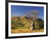 Boab Tree and Cockburn Ranges, Kimberley, Western Australia, Australia, Pacific-Schlenker Jochen-Framed Photographic Print