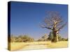 Boab Tree and Gravel Road, Kimberley, Western Australia, Australia, Pacific-Jochen Schlenker-Stretched Canvas