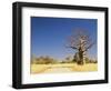 Boab Tree and Gravel Road, Kimberley, Western Australia, Australia, Pacific-Jochen Schlenker-Framed Photographic Print