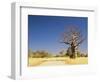 Boab Tree and Gravel Road, Kimberley, Western Australia, Australia, Pacific-Jochen Schlenker-Framed Photographic Print