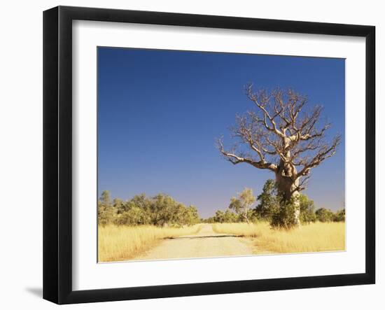 Boab Tree and Gravel Road, Kimberley, Western Australia, Australia, Pacific-Jochen Schlenker-Framed Photographic Print