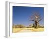 Boab Tree and Gravel Road, Kimberley, Western Australia, Australia, Pacific-Jochen Schlenker-Framed Photographic Print