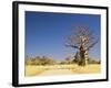 Boab Tree and Gravel Road, Kimberley, Western Australia, Australia, Pacific-Jochen Schlenker-Framed Photographic Print