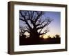 Boab Tree and Gravel Road, Kimberley, Western Australia, Australia, Pacific-Jochen Schlenker-Framed Photographic Print